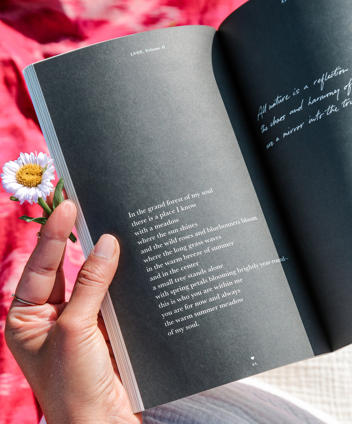 LVOE Volume I & II Bundle