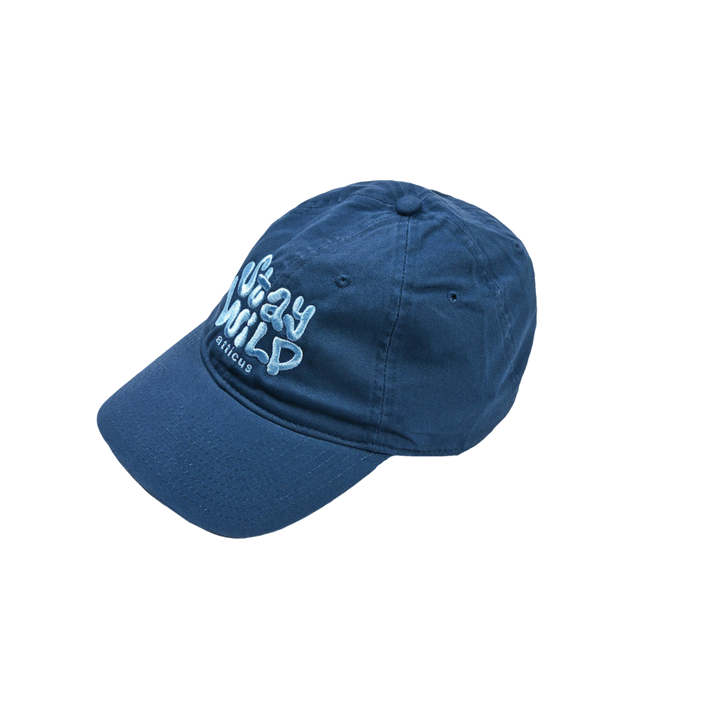 Groovy Stay Wild Hat
