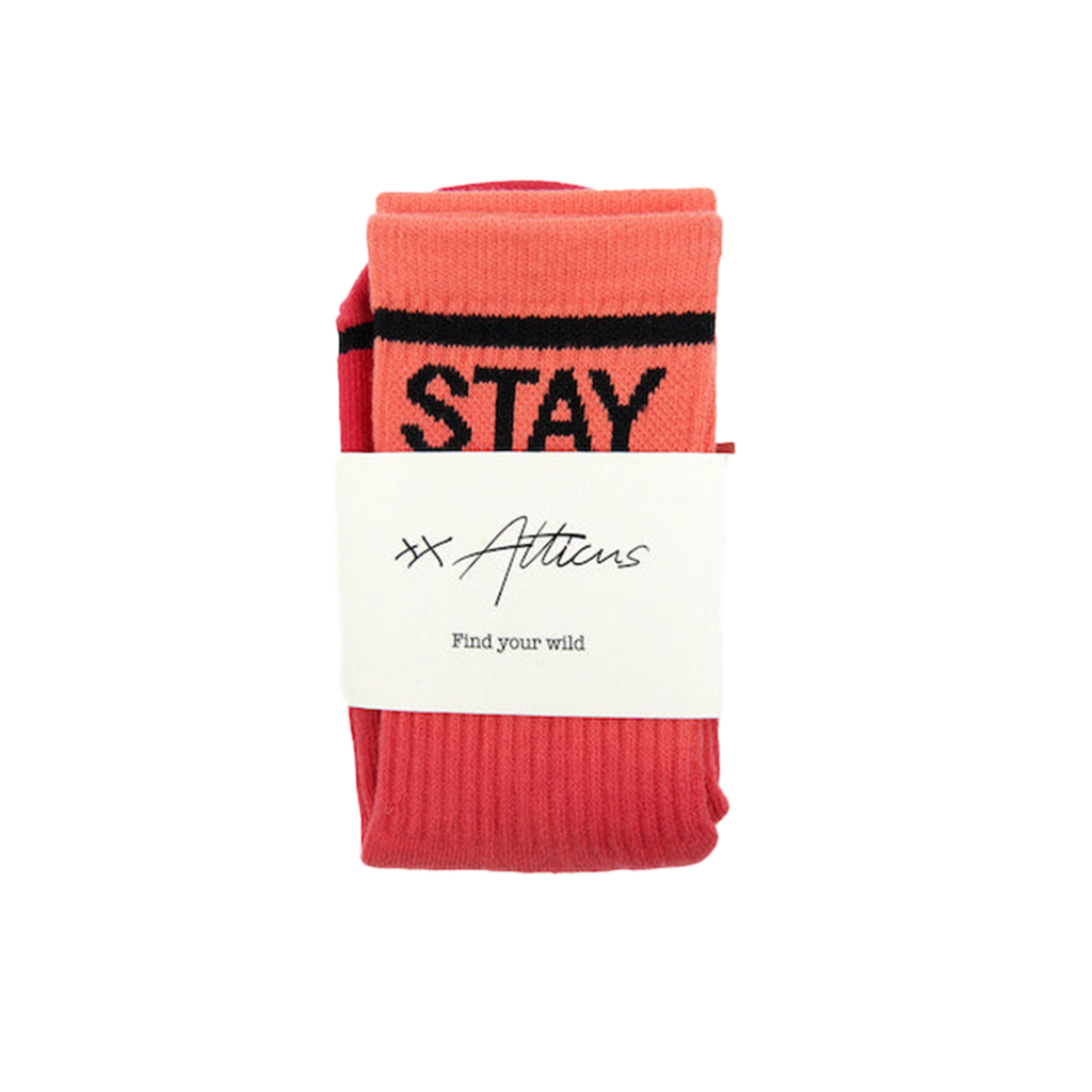 Ombre Stay Wild Socks