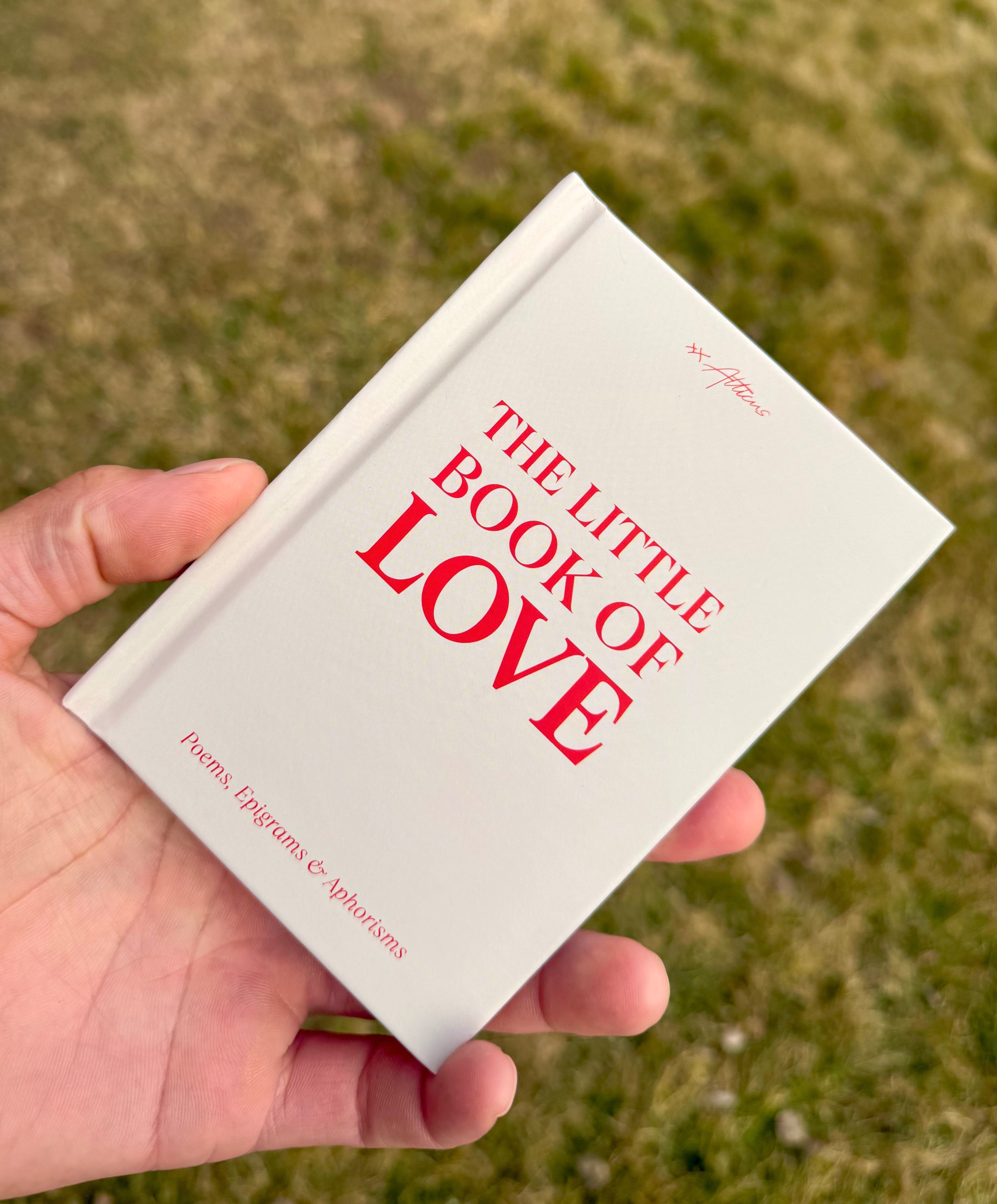 The Little Book of Love