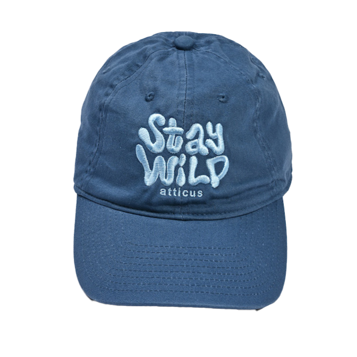 Navy blue baseball hat with 'Stay Wild' embroidered on the front